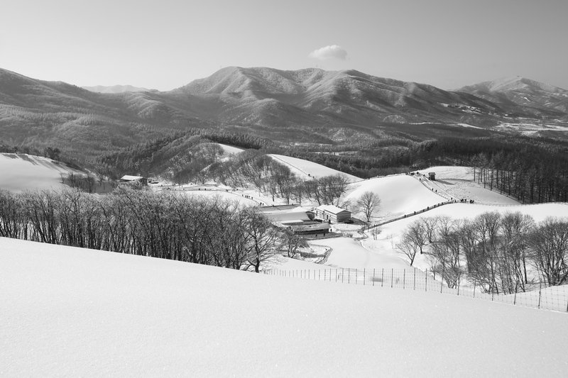 5K5A5105.JPG : 눈이보고싶어서