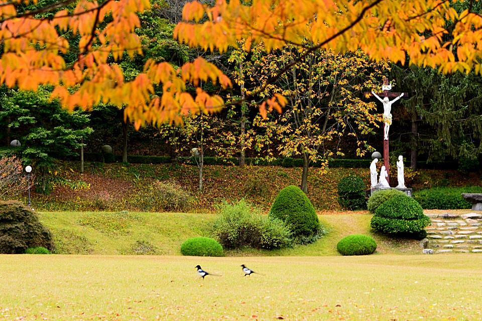BandPhoto_4596806971.jpg : 가을속으로