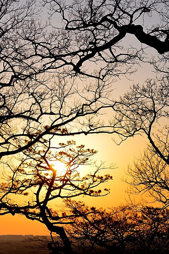 BandPhoto_5439842927.jpg : 공세리성당 일몰녘