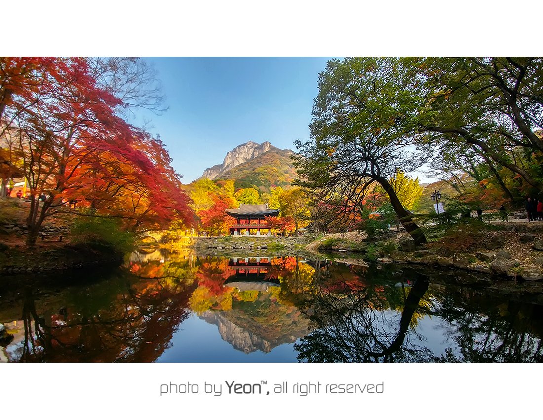 백양사-1-Web.jpg : 백양사 단풍 상황..