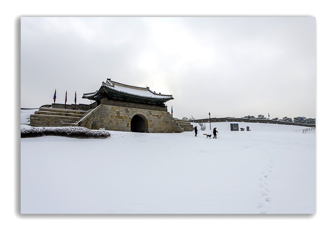 DSC_8987 @@.jpg : 외출