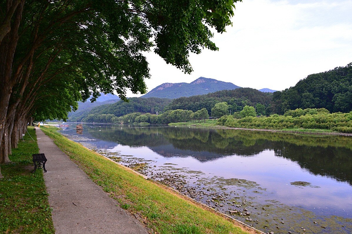 BandPhoto_9158788450.jpg : 영동 송호관광단지