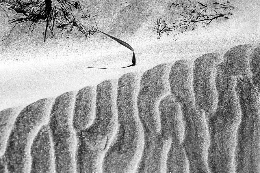 HVsff,9A2573 - 복사본.jpg : 바람의소리