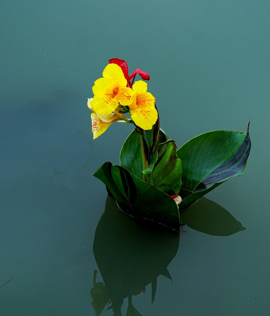 DSC00357.JPG : 정모숙제  7월