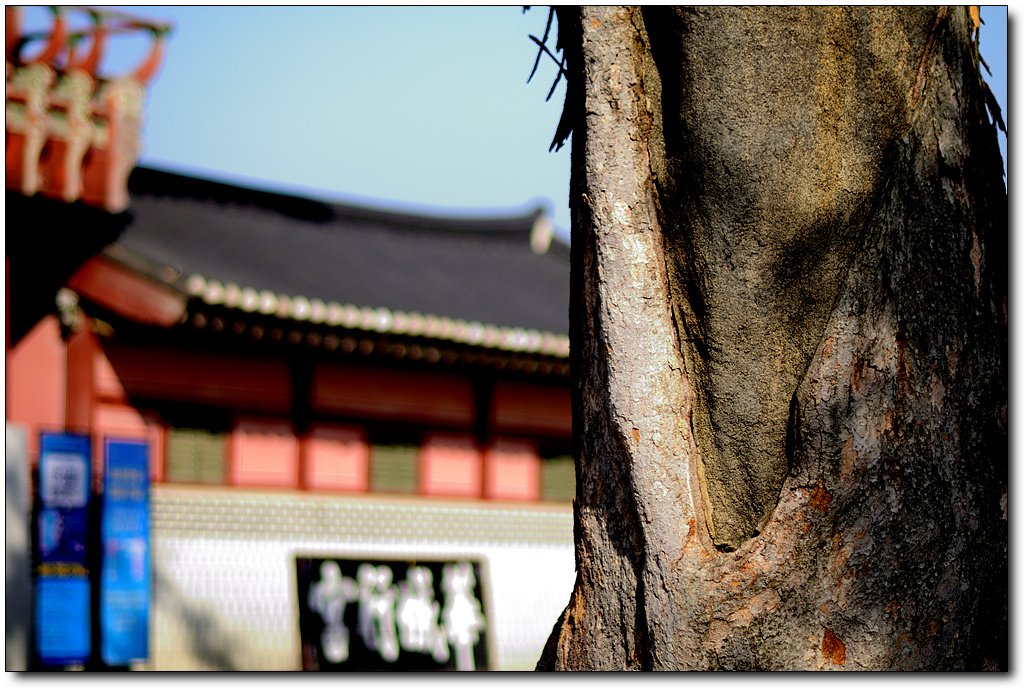 _DSC0891.jpg : 화성행궁내 풍경