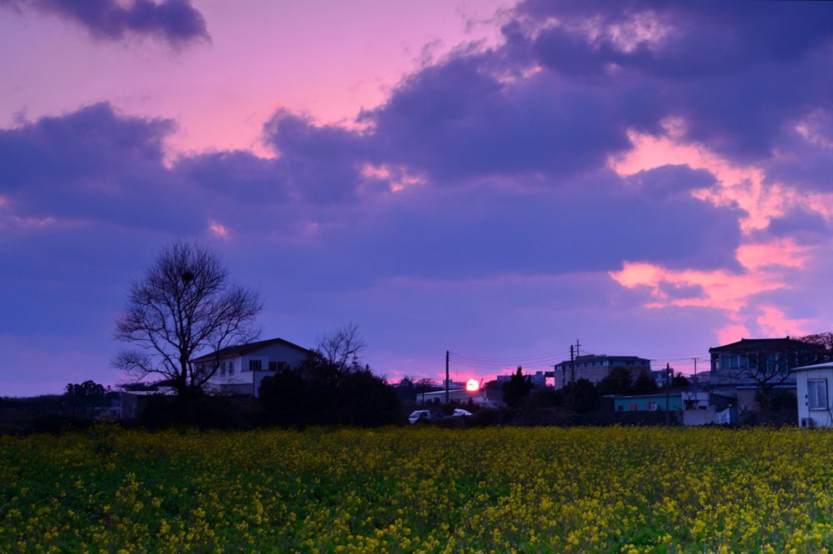 DSC_1692.JPG : 제주이야기