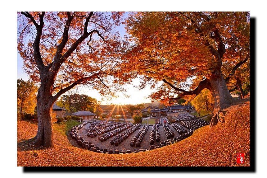 IMG_20181102_072022.jpg : 고택의 가을