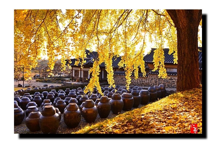 IMG_20181102_072155.jpg : 고택의 가을