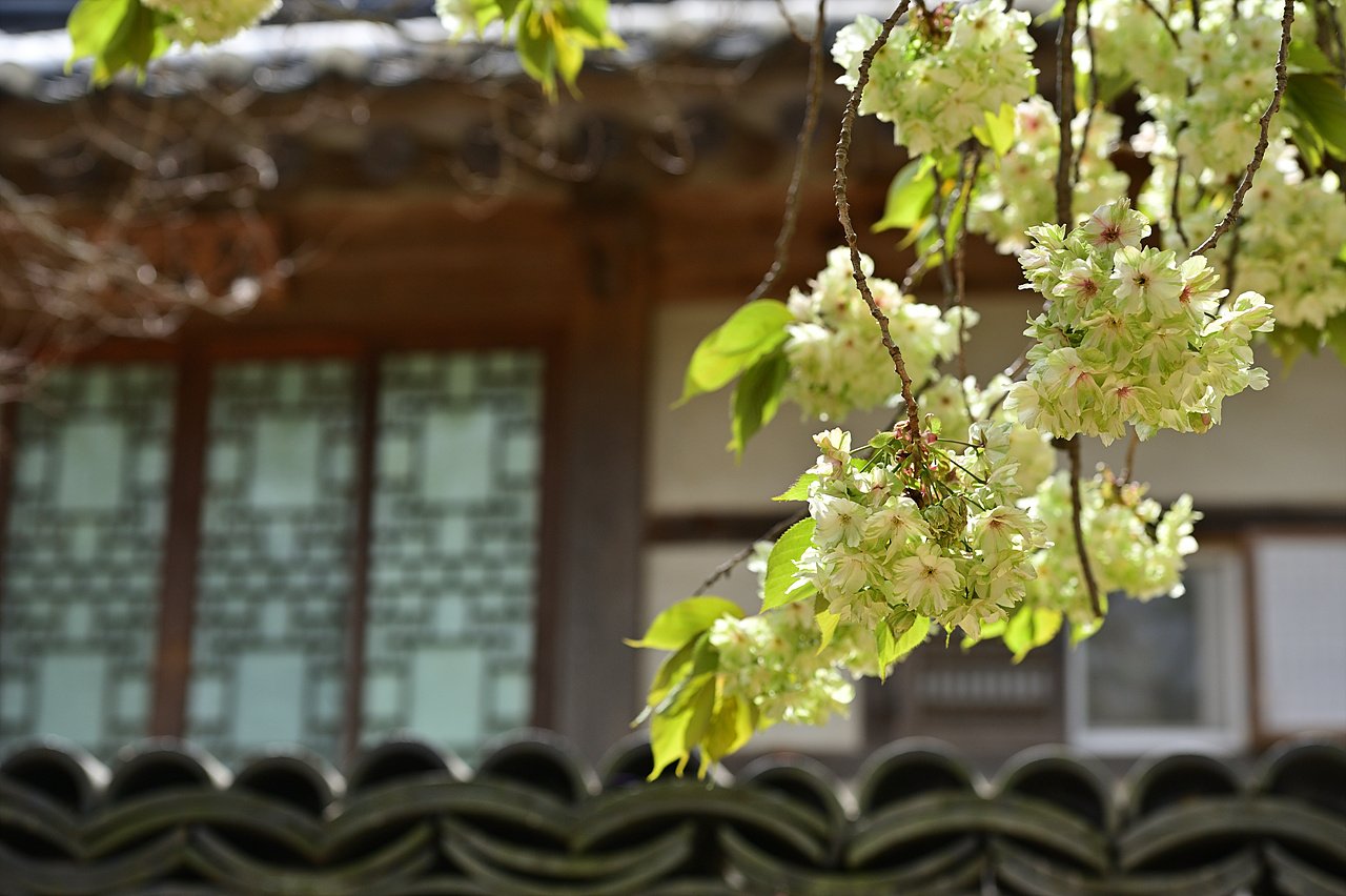 _DSC4369_00001.jpg : 수사클  추억 소환