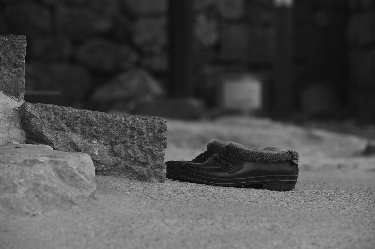 BandPhoto_17676167955.jpg : 털신