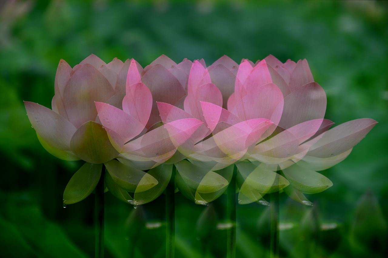 BandPhoto_6462171942.jpg : 다중촬영ㅡ정모샷2