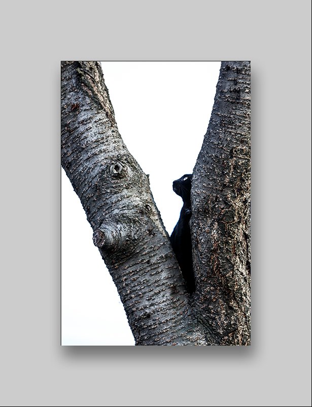 20161112-GGS_2914.jpg : 정모숙제