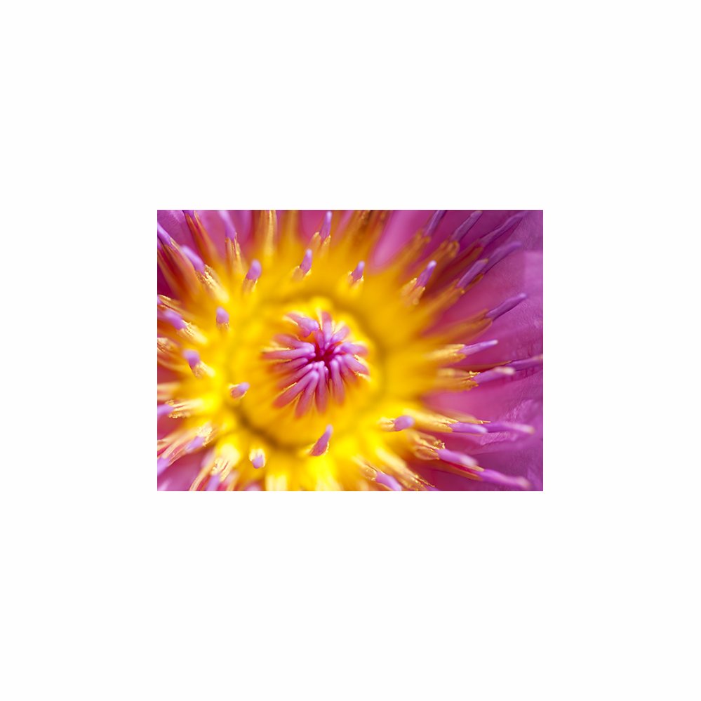 IMG_8399-2.jpg : 누구일까요?ㅎㅎ