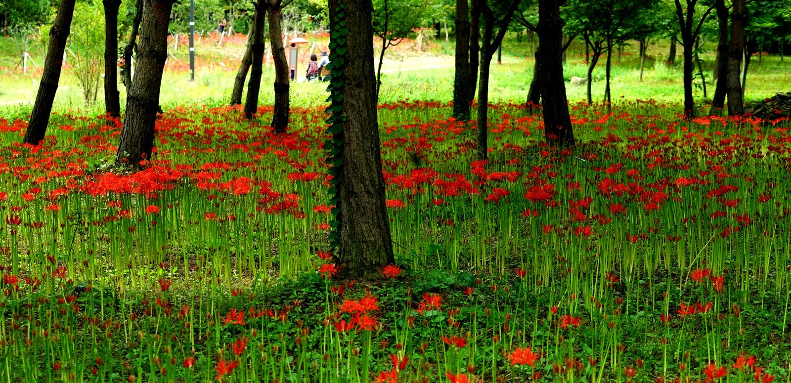 DSC09092.JPG : 정모숙제 1등으로......^^