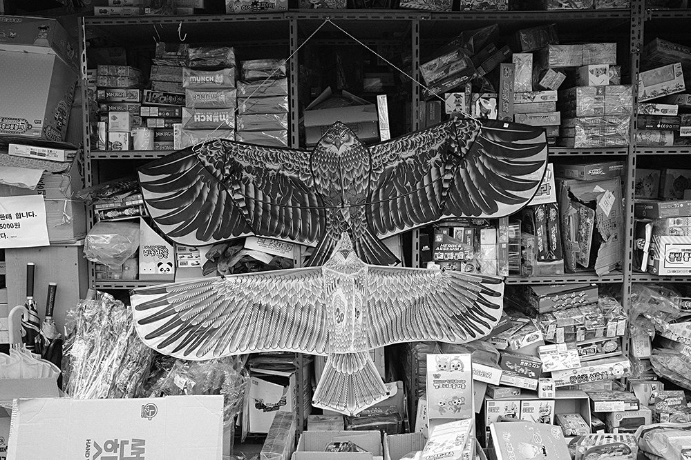 DSCF0310-동네.jpg : 동네 한바퀴2