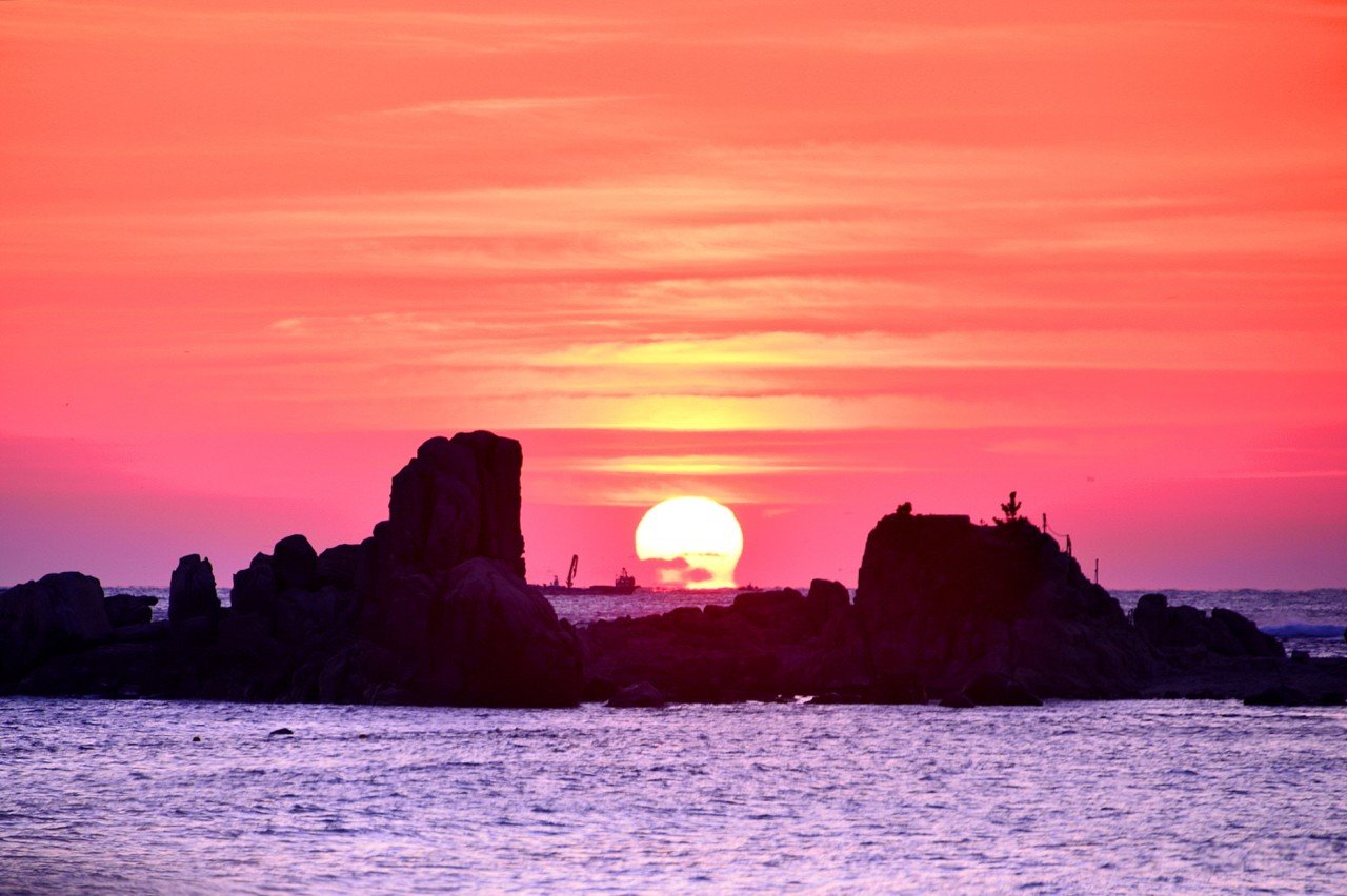 BandPhoto_17239794351.jpg : 2020 만사형통 일출