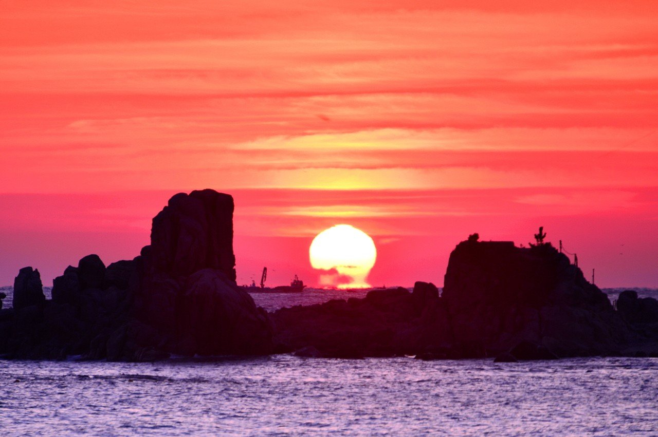 BandPhoto_17239794408.jpg : 2020 만사형통 일출