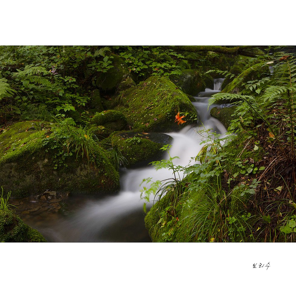 575a0183.jpg : 상동에 다녀왔습니다. 575a0183.jpg : 상동에 다녀왔습니다.