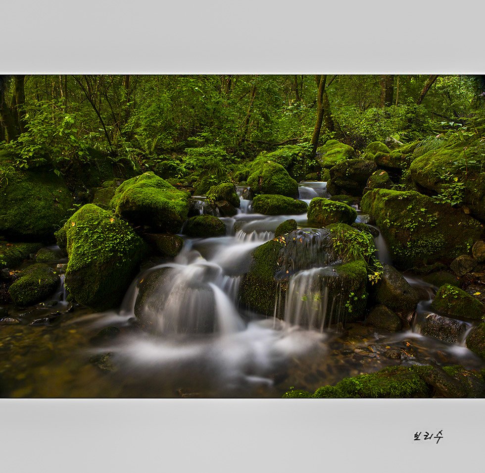 575a0173.jpg : 상동에 다녀왔습니다. 575a0173.jpg : 상동에 다녀왔습니다.