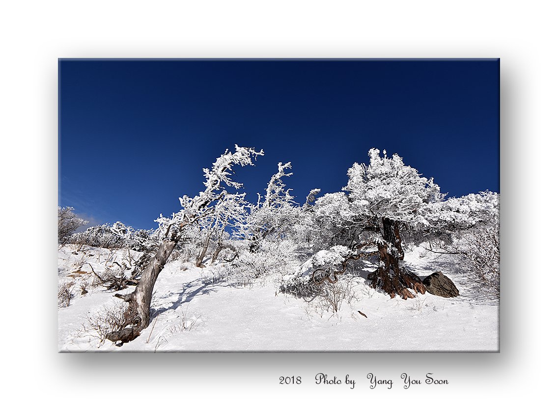 DSC_1655-r.jpg : 덕유산 상고대