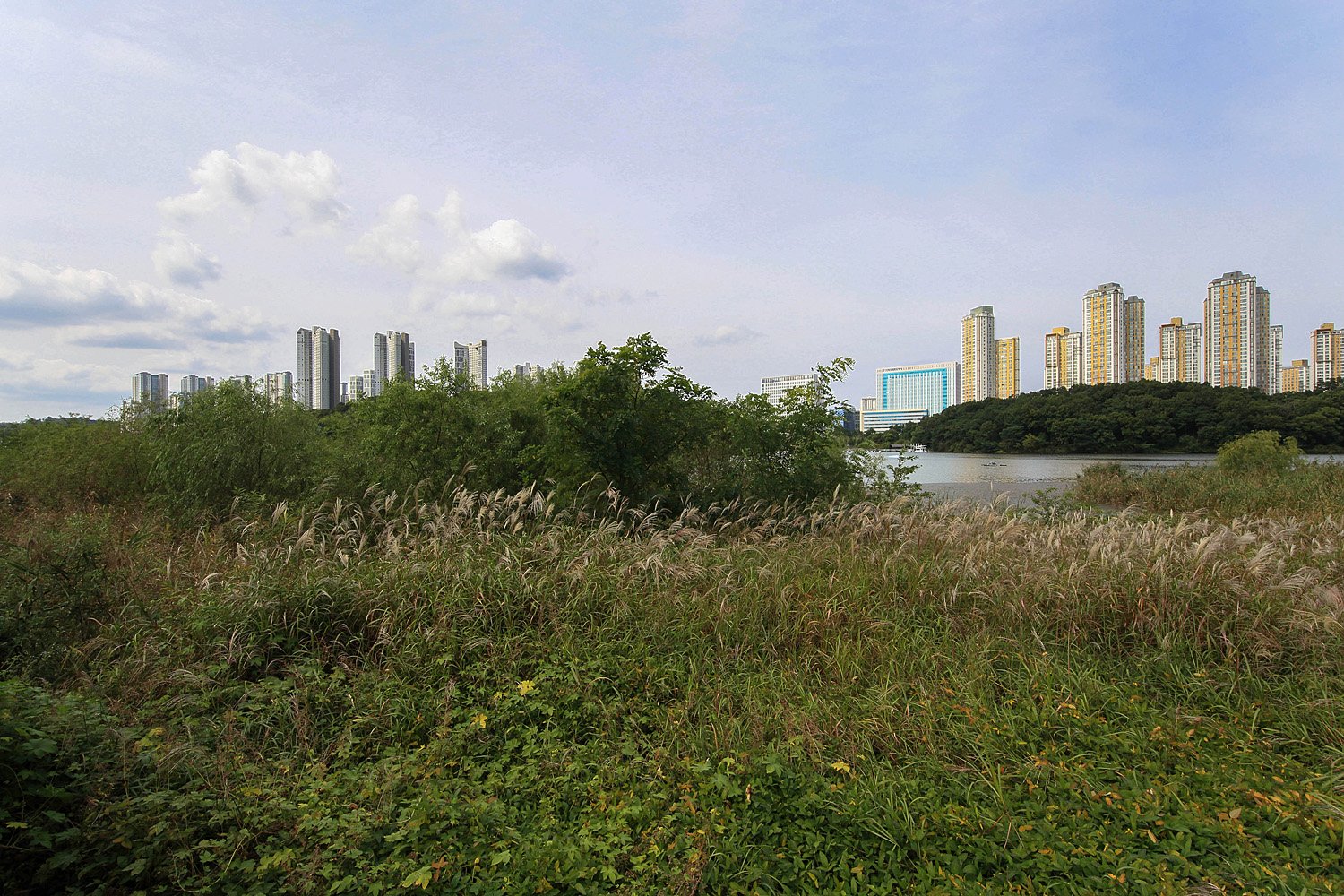 2062 CH4A8427-2R.jpg : 시인의 호수