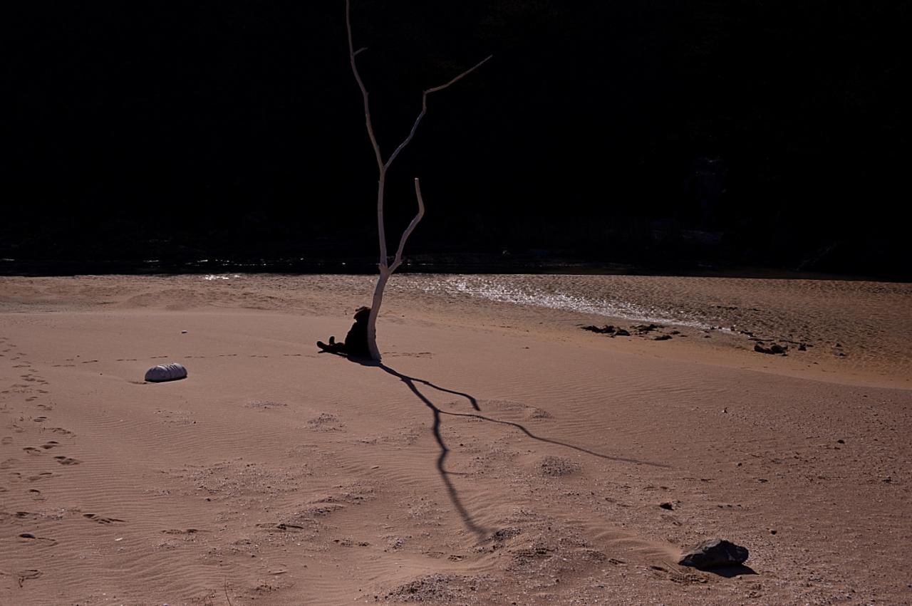 BandPhoto_5301147614.jpg : 삶의 무게 = 고뇌 +×÷