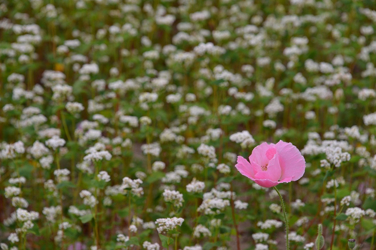 BandPhoto_9239074840.jpg : 자연이 주는 메시지