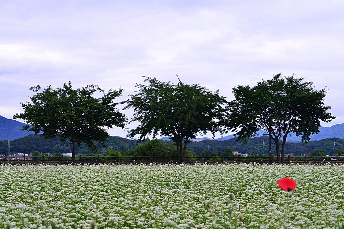 BandPhoto_9239074861.jpg : 자연이 주는 메시지