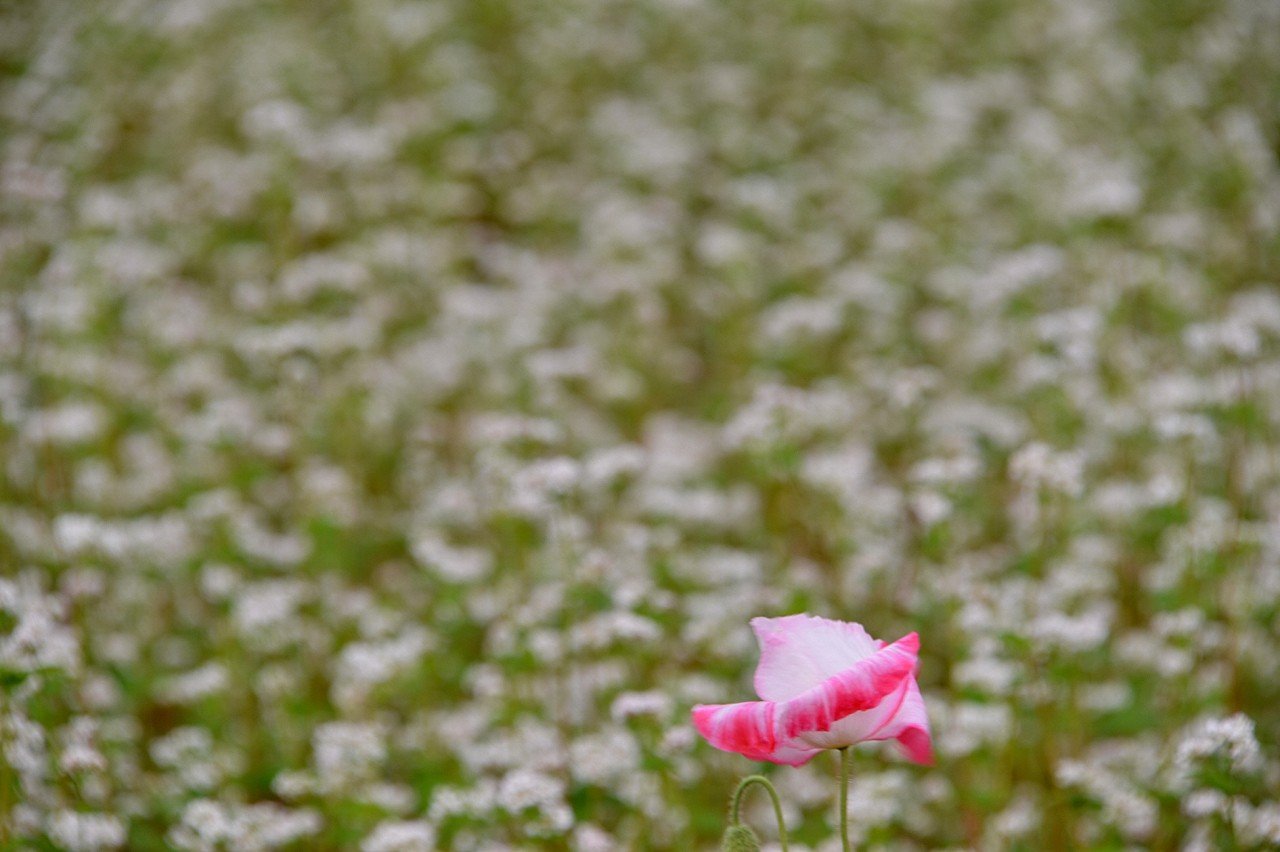 BandPhoto_9239074833.jpg : 자연이 주는 메시지