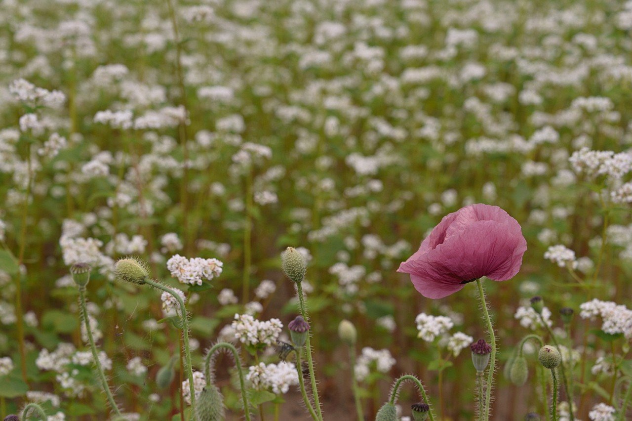 BandPhoto_9239074815.jpg : 자연이 주는 메시지