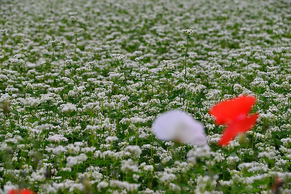 BandPhoto_9239074862.jpg : 자연이 주는 메시지