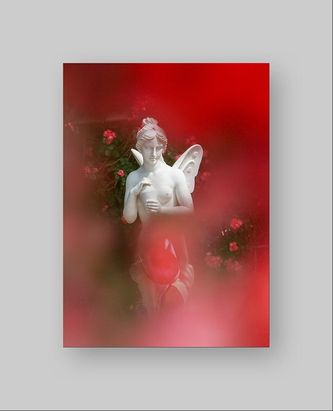 GGS_5607.jpg : 장미축제 정모숙제