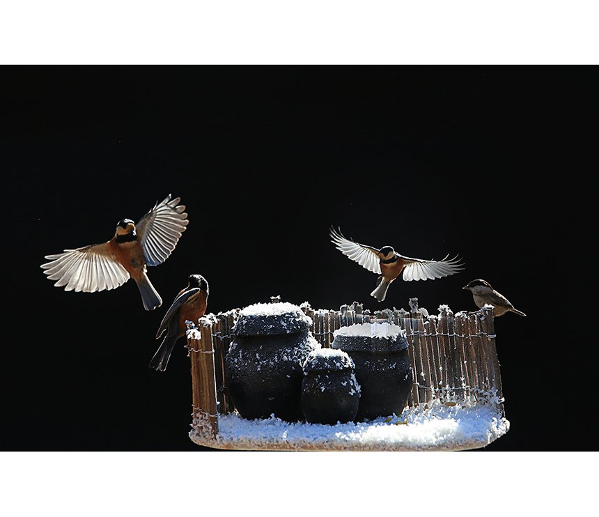 2m3a6351.jpg : 시즌이 돌아왔습니다.^^