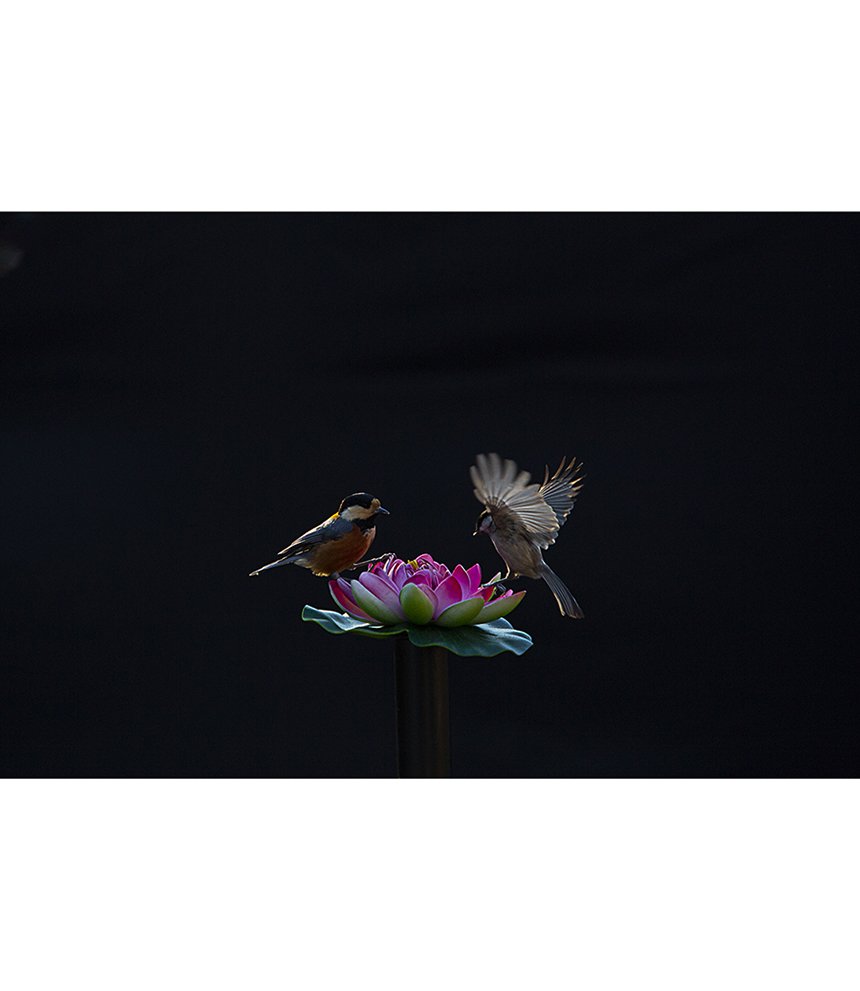 2m3a2341.jpg : 시즌이 돌아왔습니다.^^