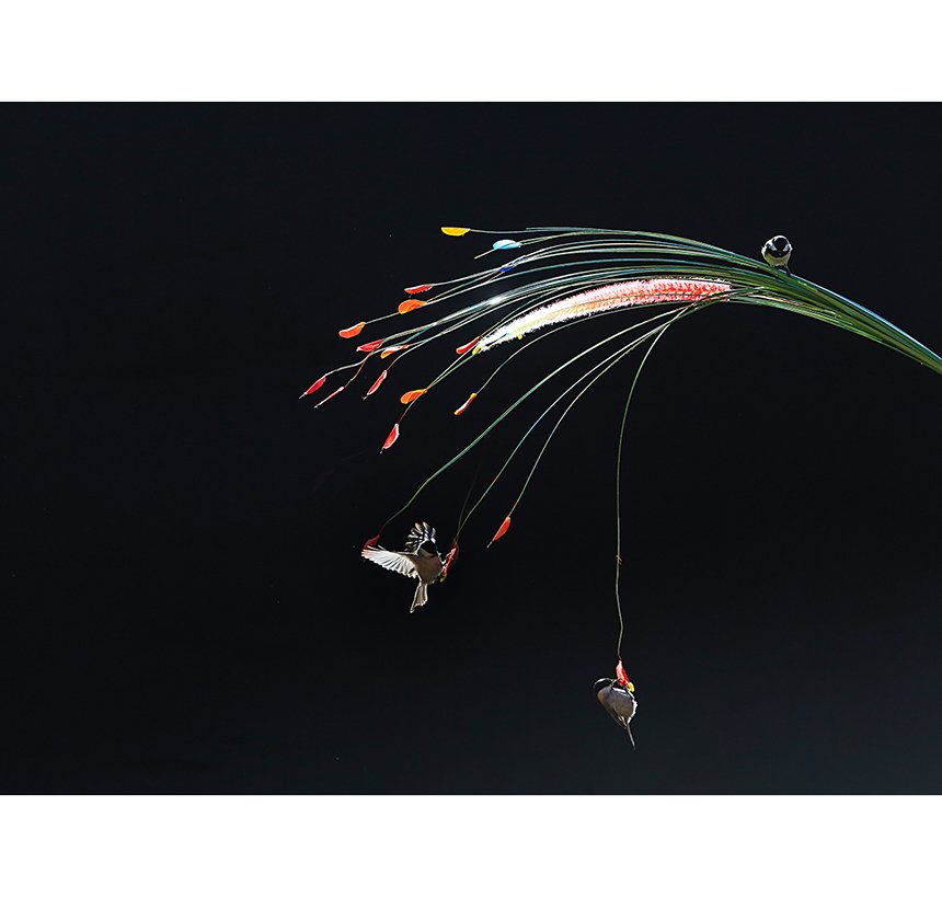 2m3a435011.jpg : 시즌이 돌아왔습니다.^^