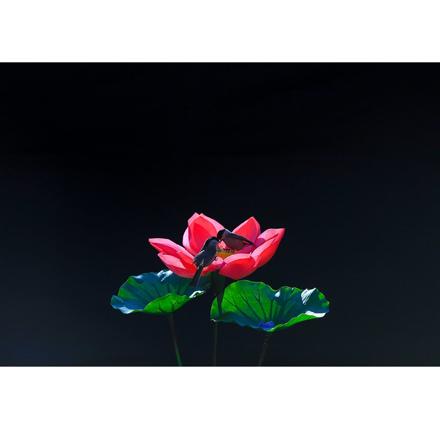 2m3a3081.jpg : 시즌이 돌아왔습니다.^^