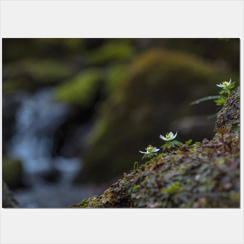 [R]DSC_9513.jpg : 모데미풀