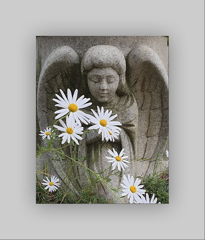 20191006_164742.jpg : 천사도 취하는 꽃향기