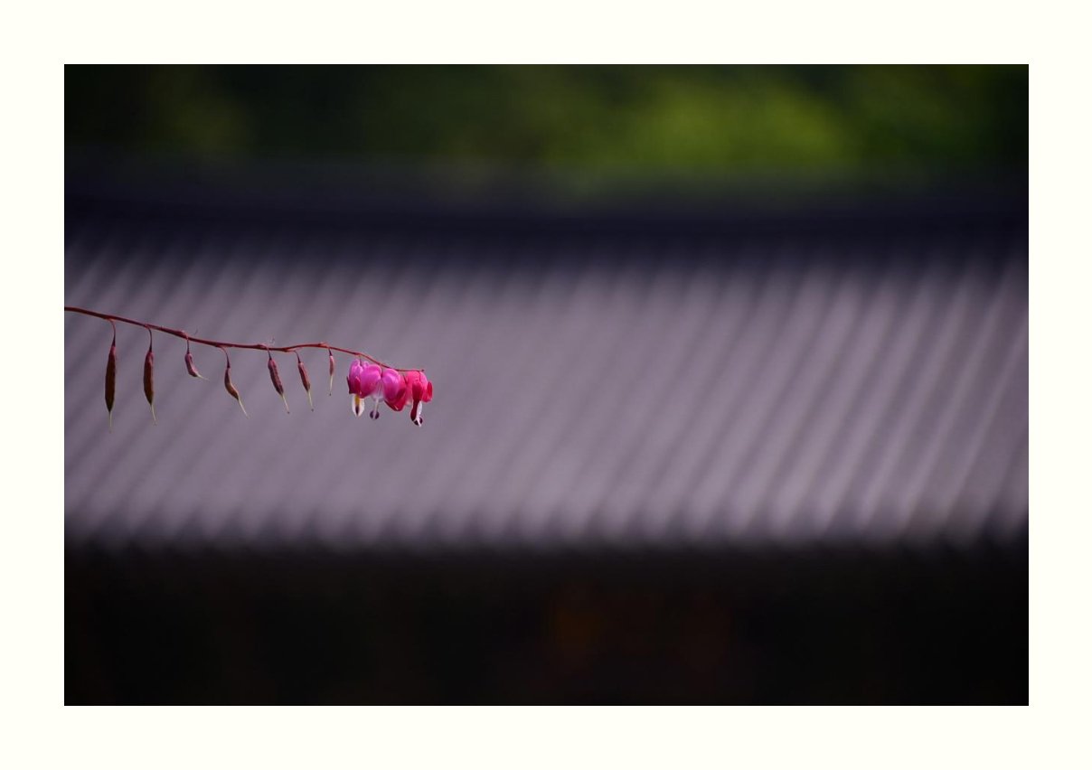 IMG_20170514_061945.jpg : 보탑사에서