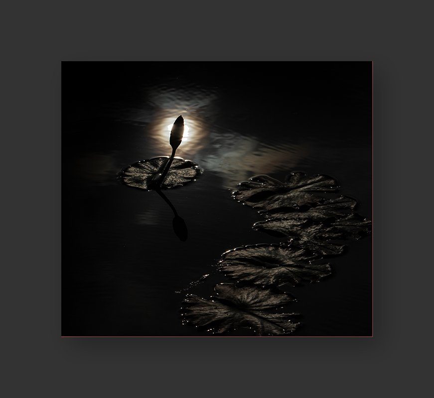 GGS_7855.jpg : 호롱불 밝히고~