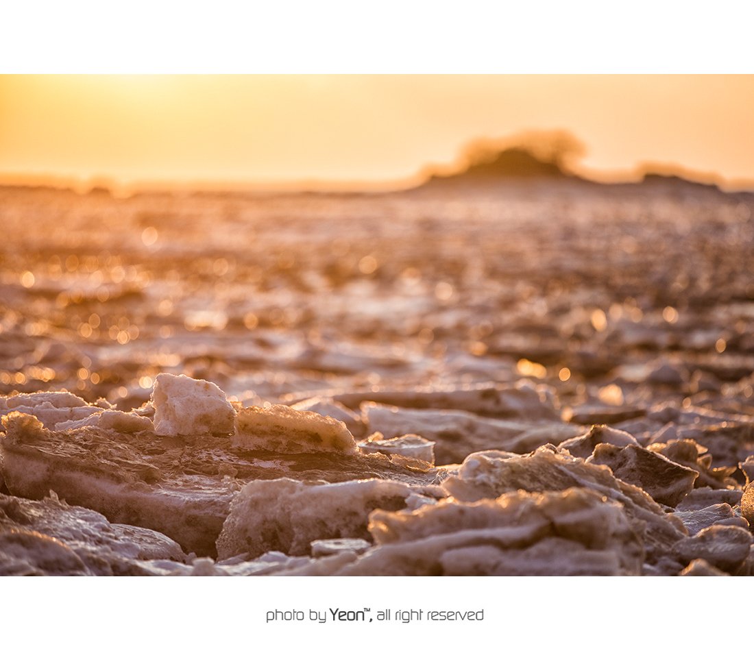 장화리-2-Web.jpg : 장화리..2