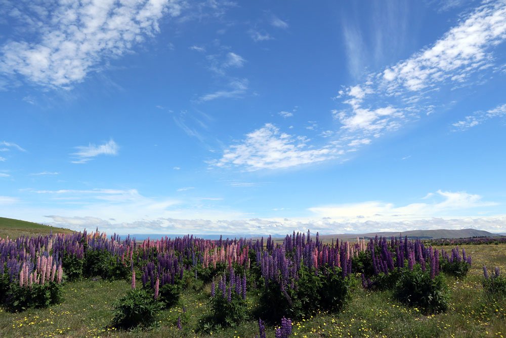 IMG_0068.jpg : 하늘