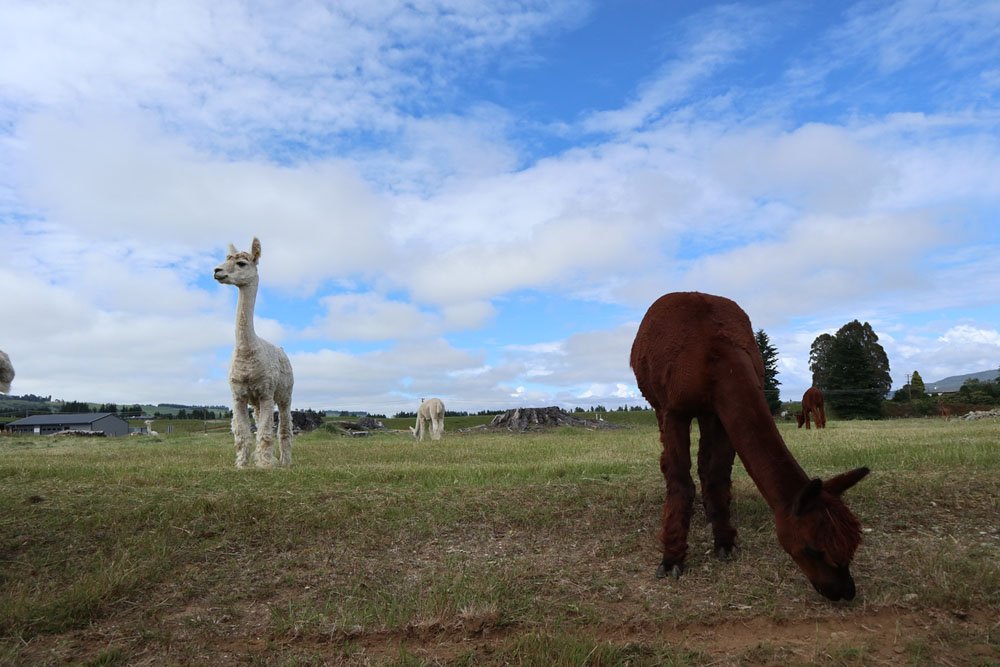 IMG_0605.jpg : 하늘