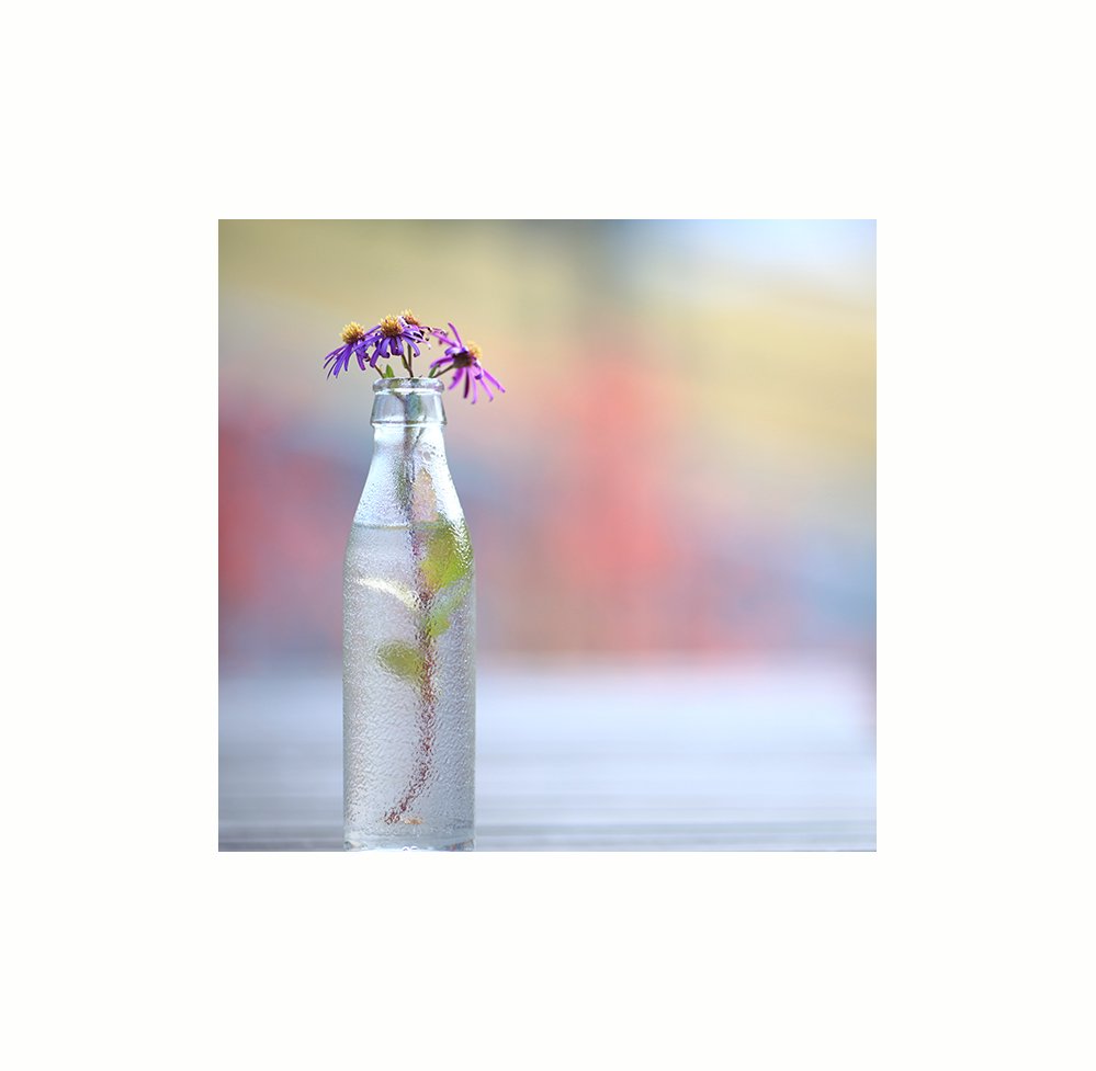 IMG_5211-01.jpg : 가을 끝자락에서.... IMG_5211-01.jpg : 가을 끝자락에서....
