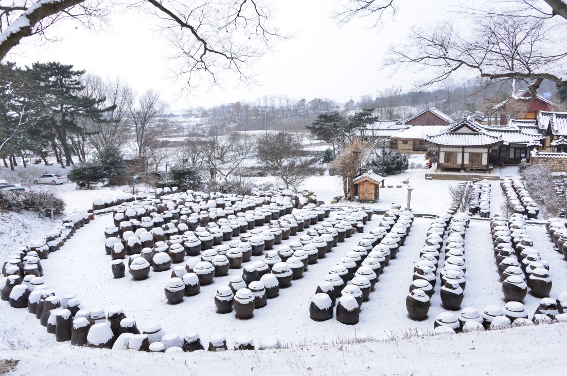 BandPhoto_2018_12_29_09_46_44.jpg : 소복한 겨울 BandPhoto_2018_12_29_09_46_44.jpg : 소복한 겨울