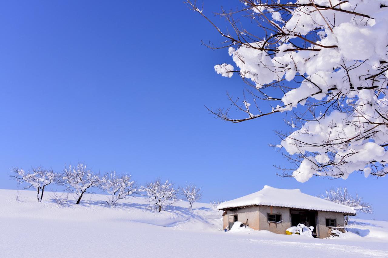 BandPhoto_2018_12_29_09_58_07.jpg : 소복한 겨울 BandPhoto_2018_12_29_09_58_07.jpg : 소복한 겨울