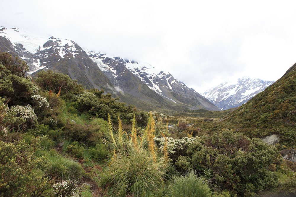 IMG_0262.jpg : 뉴질랜드에서 IMG_0262.jpg : 뉴질랜드에서