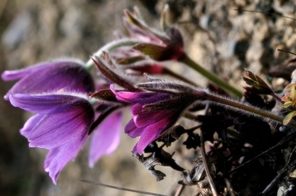 DSC_0010.jpg : 안녕하세요...^^