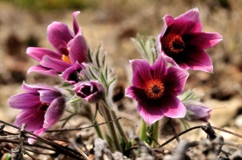 DSC_0007.jpg : 안녕하세요...^^