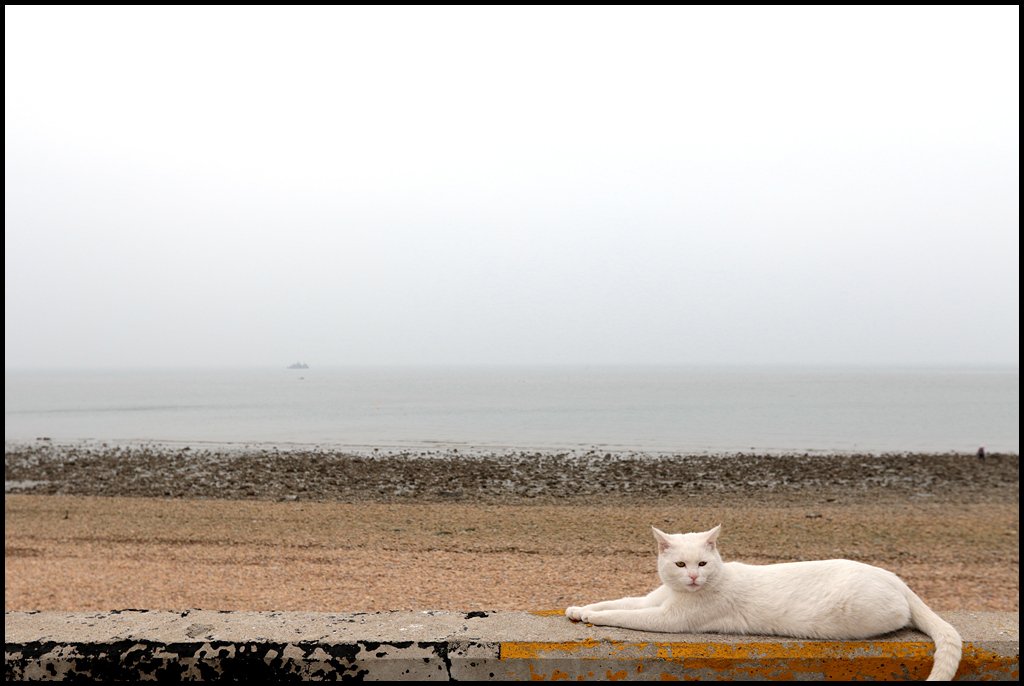 8D1A9318.jpg : 해변의 여인...